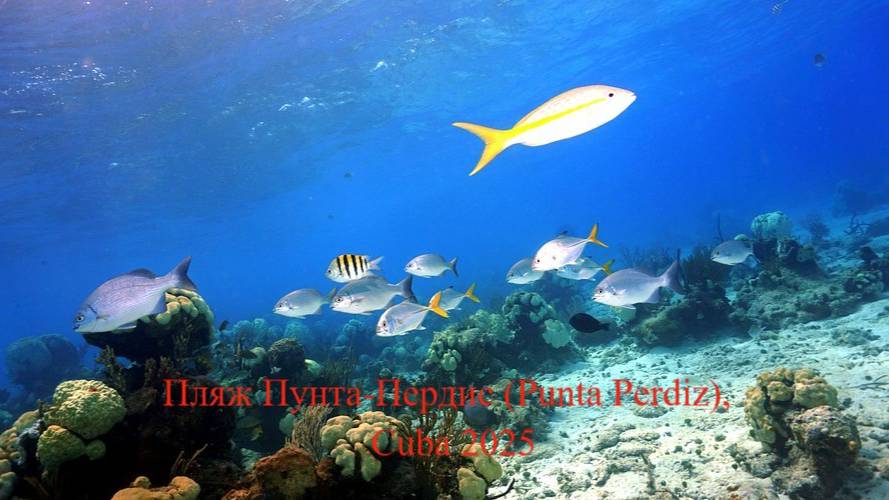 Карибское море, пляж Пунта Пердис (Punta Perdiz) — райский пляж.