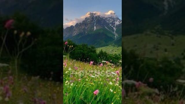 ♫ Валерий Палаускас – «Полевые цветы»