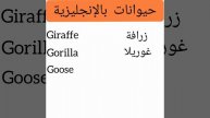 تعلم اللغة الإنجليزية من الصفر (أسماء الحيوانات)