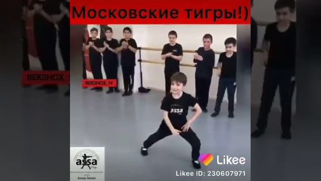 Московские тигры танцуют лизгинку