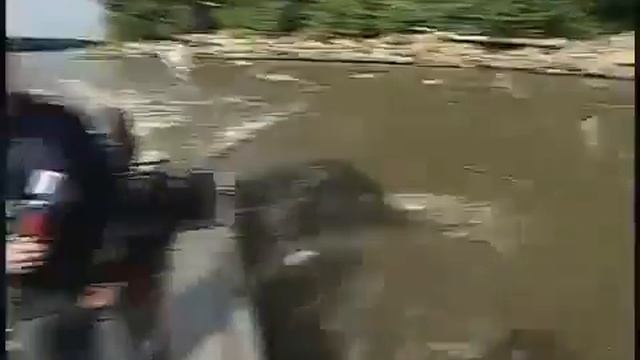 Атака карпа