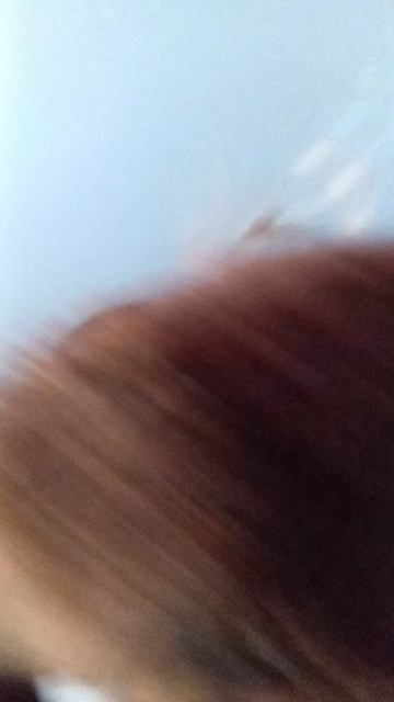 1000002449.mp4