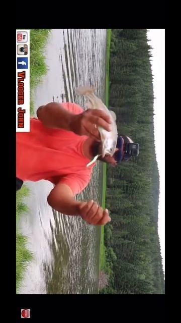 Strike master spoon for trout??#trout #troutfishing #rainbowtrout #fishing #vloggerjohn #alberta