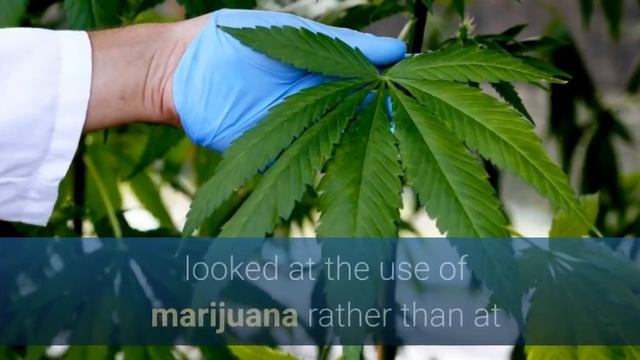 💚Can CBD Oil Help with Anxiety? | 🤯CBD Oil for Panic Attacks