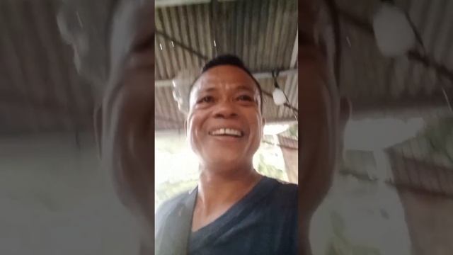 Palit challenge muna tayo mga aydolll let me see kung may papayag pa makipagpalitan