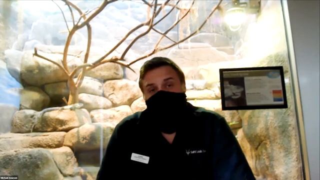 Virtual Snake Tour of the Herpetarium at the Saint Louis Zoo