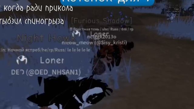 коты воители в рп / мем /