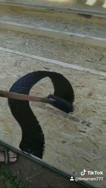 Любите себя