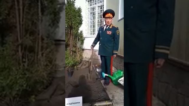 Сад памяти!