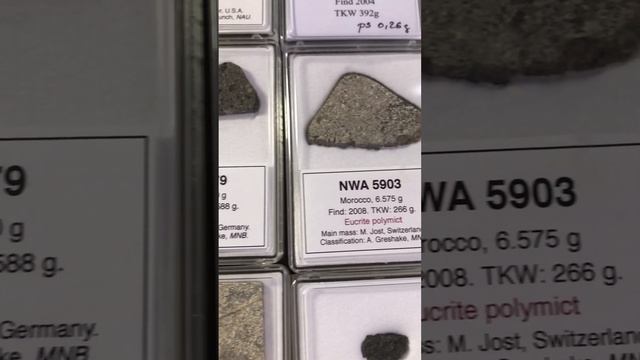 SAHARAGEMS - NEW ARRIVED METEORITES NOVEMBER 2022
