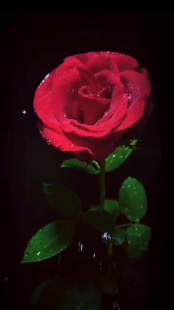 22-02-2025