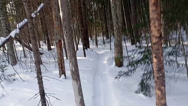 Конец сезона 24-25
