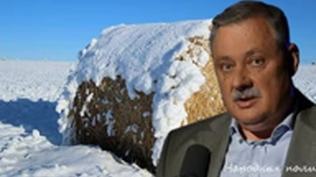 Дмитрий Евстафьев. Три недели...