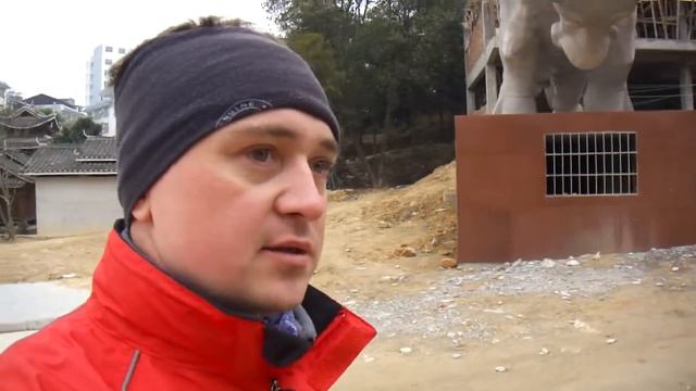 около быков
