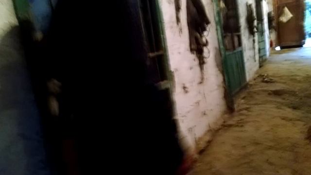 В яких умовах утримують коней.