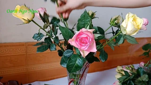 Cách CẮM HOA TRÒN ĐỀU bằng nước chuẩn bị đón tết_Flower arrangement ideas