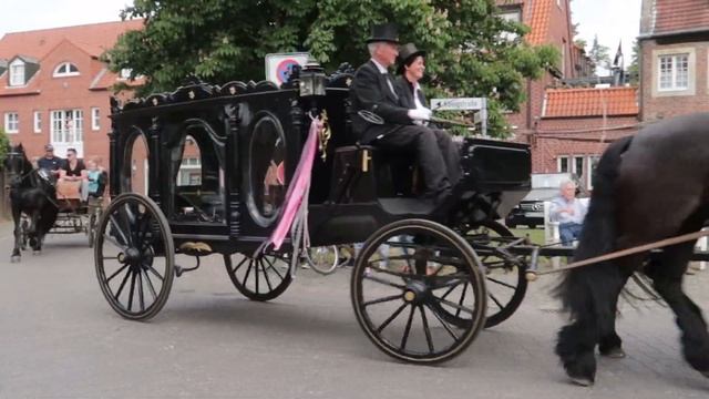 Pferdekutsche und Pferde - Kutsche fahren in Telgte