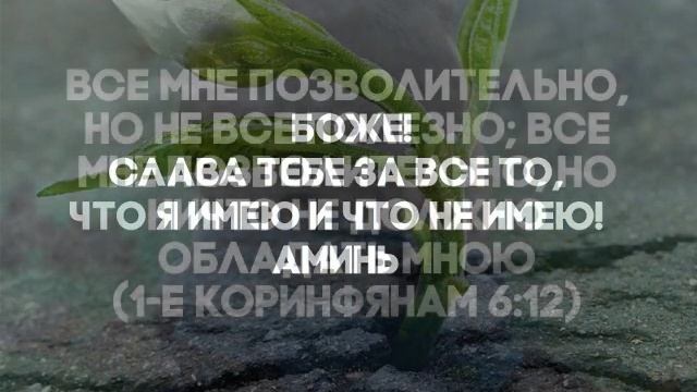 песнь возрождения 7