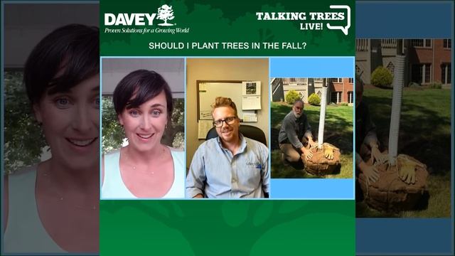 Should I Plant Trees in the Fall