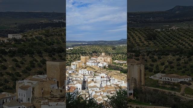 Поездка погулять.