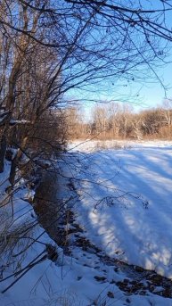 22.02.2025 #сегоднятак #сегодня #природа #nature #oggicosì #бүгін #oggi #hoy #今日 #today #오늘 #자연 #自然