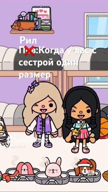 29 июля 2024 г.