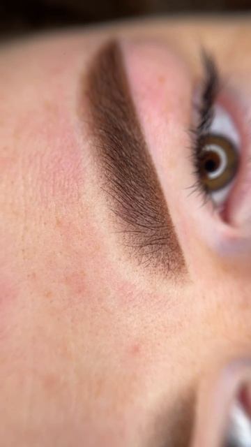 -7767062279061524007