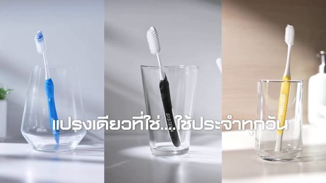 25 ปี SYSTEMA แปรงเดียวที่ผู้เชี่ยวชาญมั่นใจ!