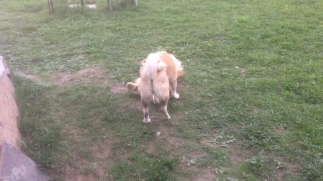 Давай играть!