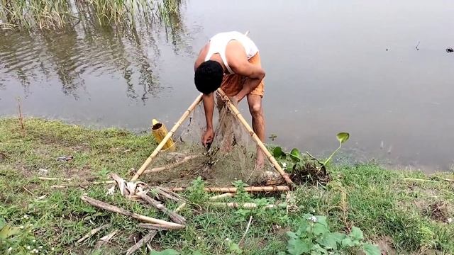 বন্যার নতুন পানিতে কি মাছ ধরলাম। doyel agro new video |our village nature