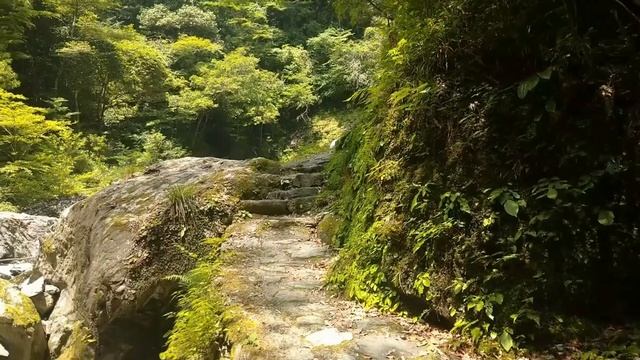 一度は行ってほしい、仁淀川の支流  安居渓谷！