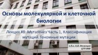 Основы молекулярной и кл. биологии (2024) Л8 Мутагенез Ч1 Классификация мураций. генные мутации.
