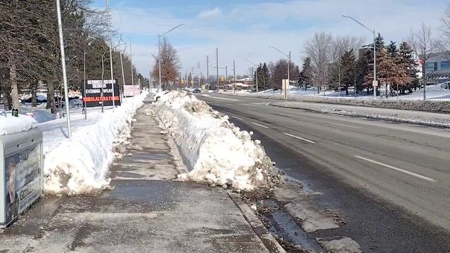 Дональд, который умеет считать деньги.