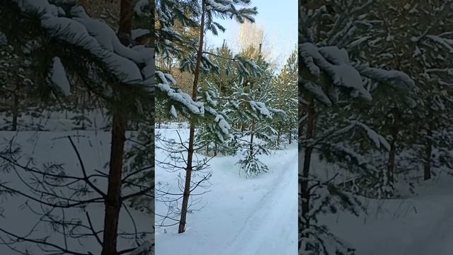 Прогулка с солнцем и плазмоидом.
Плазмоида узнали?Это белый шарик🗨️