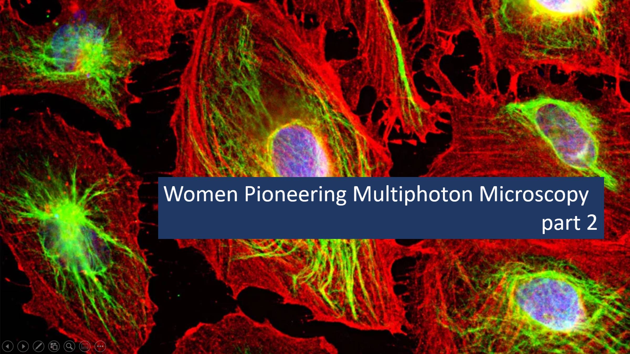 Women Pioneering Multiphoton Microscopy part2