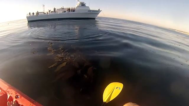 La Jolla Cove