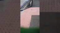 TOUCAN CROSSING REMAKE
