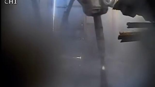 Бешеный вертлюк навёл шороху😀