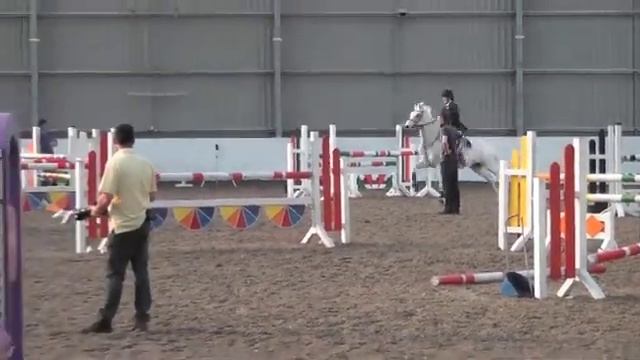 Pip & Star - first show of 2011 (beware, crazy horse!)