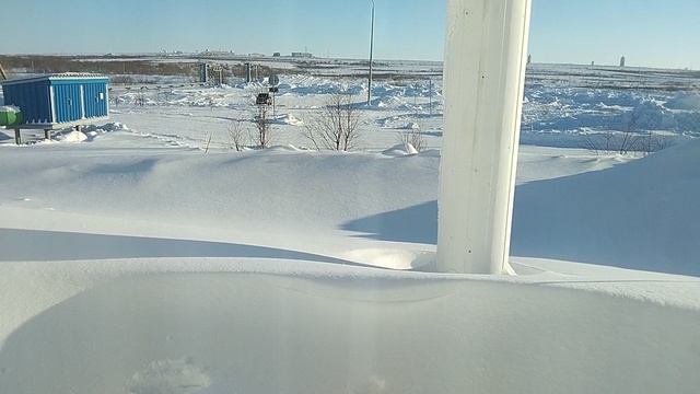 За окном морозец в Воркуте My favorite yard