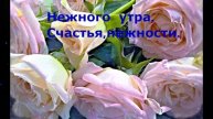 Нежного утра Ольга Комарова Бесконечная