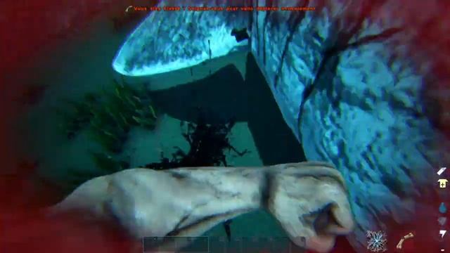 ARK: megalodon en oeuvre