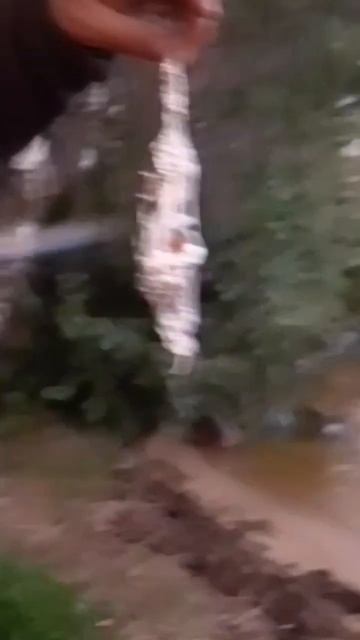 летучая мышь по Карельскому рецепту))