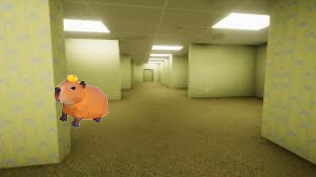 b-капибара
