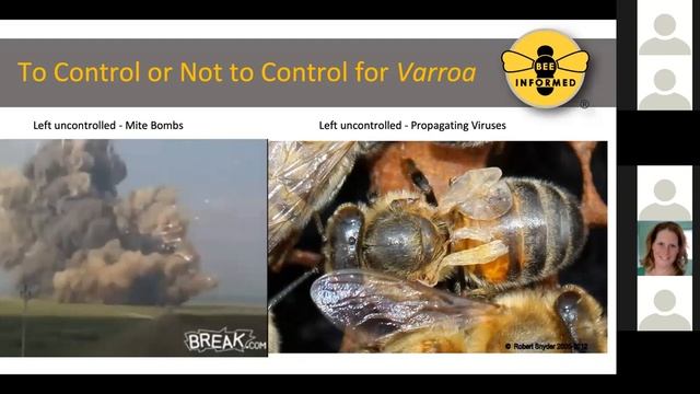 Voracious Varroa