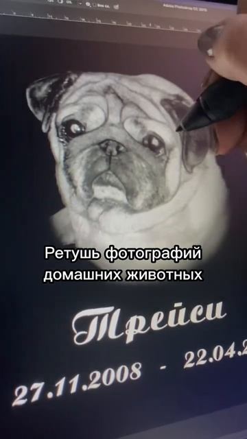 Ретушь ▶️ Гравировка #ритуальныеуслуги #гравировка #домашниеживотные #омск #shorts
