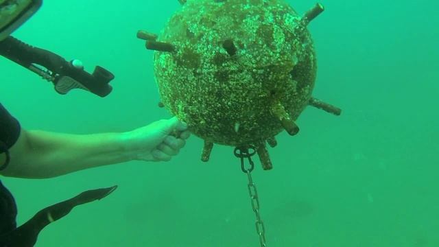 На дне чёрного моря