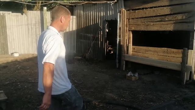 Общий план нашей фермы.