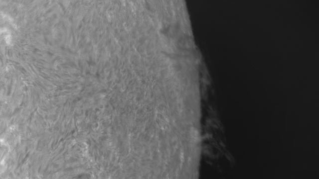 2025-02-18-0936_7-L-Sun_Live Video