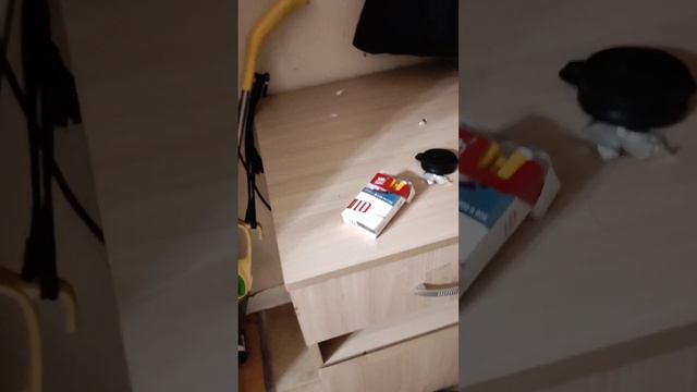 Животные,а не люди!! алкаши...что сделали с новой квартирой!!Приехали без предупреждения!!!